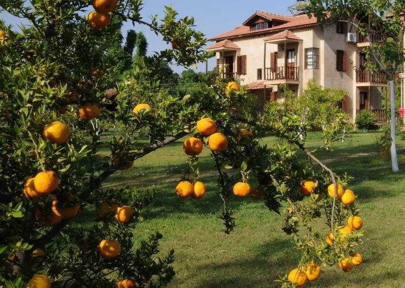 Yonca Lodge Fethiye Kültér fotó