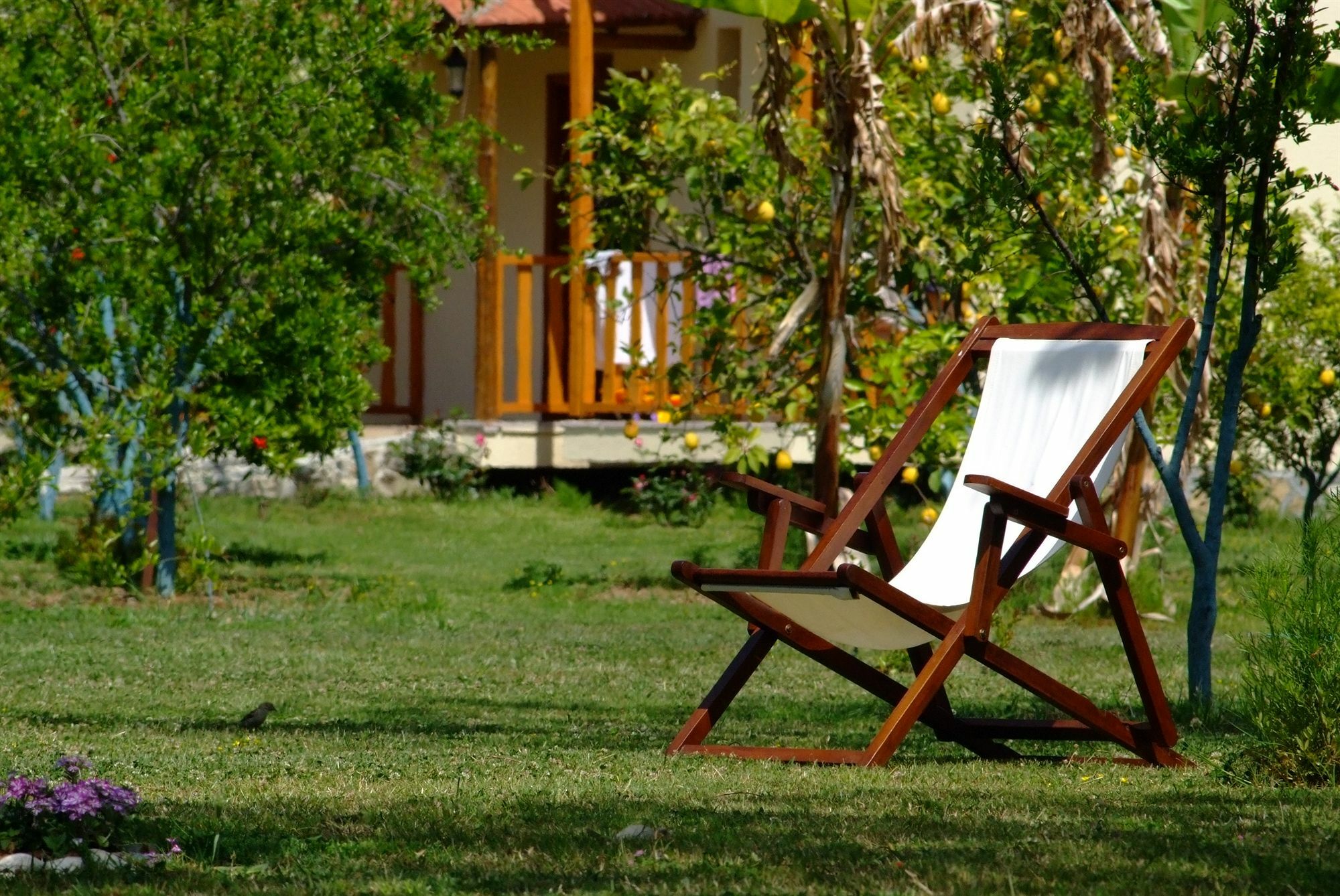 Yonca Lodge Fethiye Kültér fotó